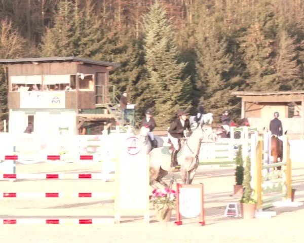 Reitturnier Ranshofen - Braunau am Inn 2025