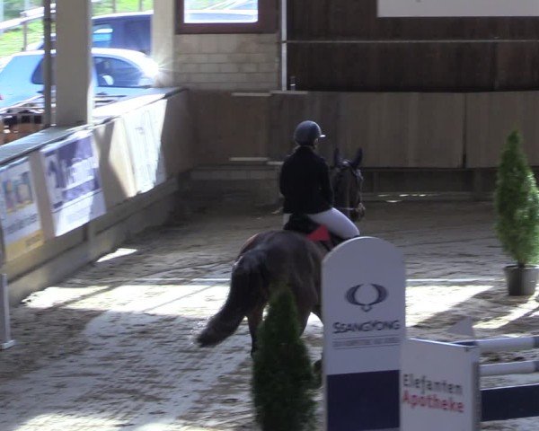 Reitturnier Oelde 2025