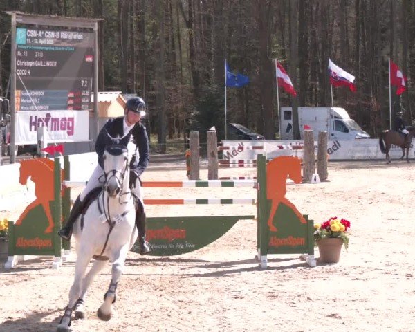 Reitturnier Ranshofen - Braunau am Inn 2025