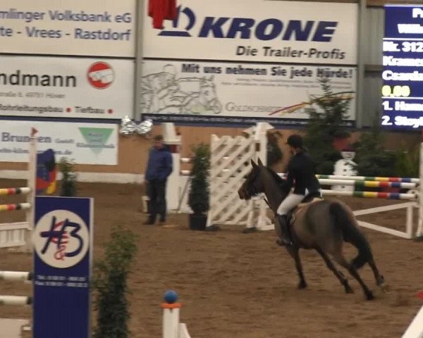 8. Springfestival Werlte