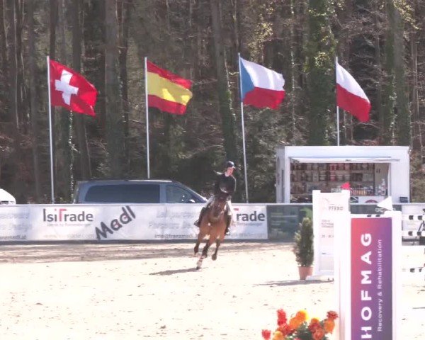 Reitturnier Ranshofen - Braunau am Inn 2025