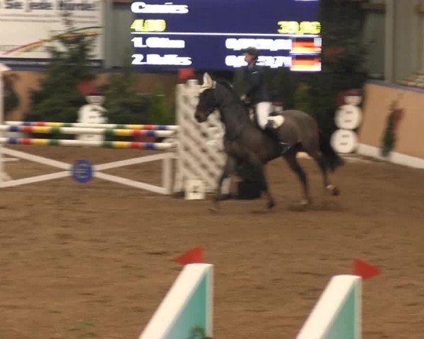 8. Springfestival Werlte