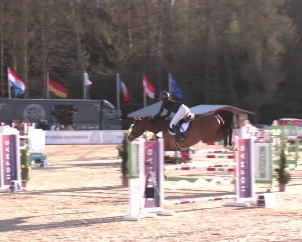 Reitturnier Ranshofen - Braunau am Inn 2025