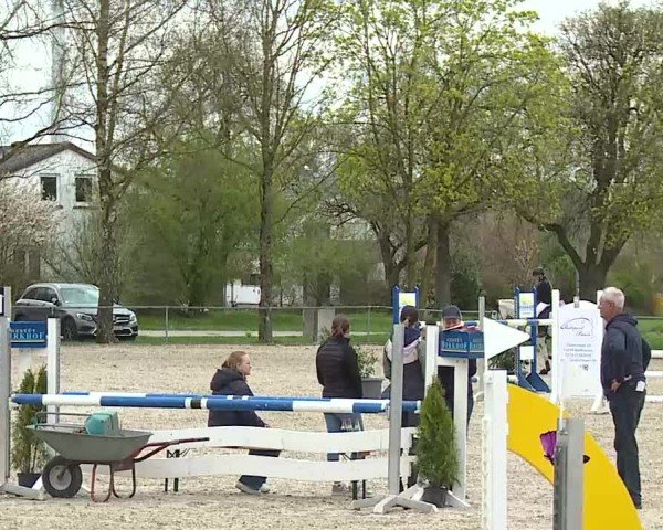 Reitturnier Rot am See- Musdorf 2025