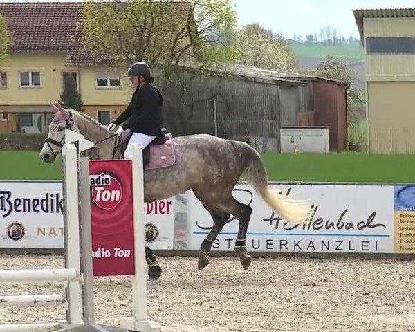 Reitturnier Rot am See- Musdorf 2025