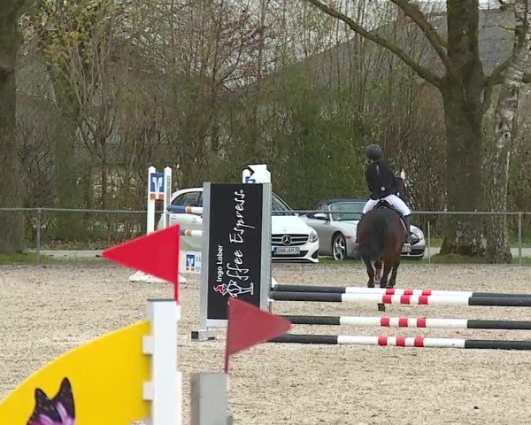Reitturnier Rot am See- Musdorf 2025