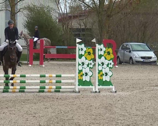 Reitturnier Rot am See- Musdorf 2025