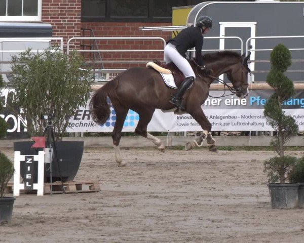 Reitturnier Werne-Lenklar 2025