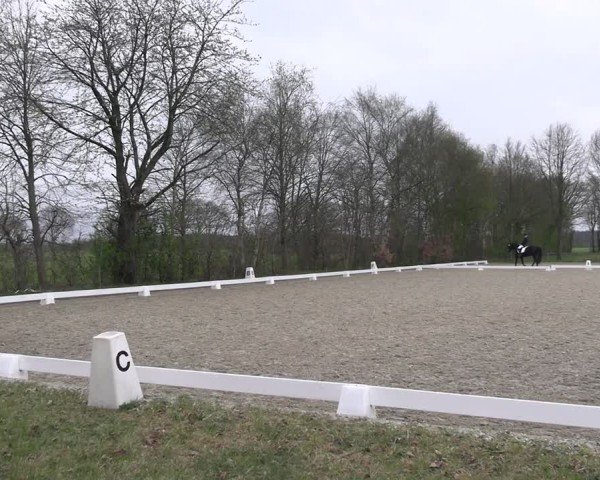 Reitturnier Elmlohe 2025