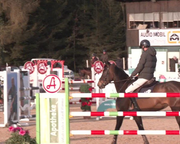 Reitturnier Ranshofen - Braunau am Inn 2025