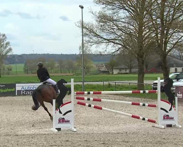 Reitturnier Rot am See- Musdorf 2025