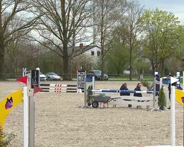Reitturnier Rot am See- Musdorf 2025