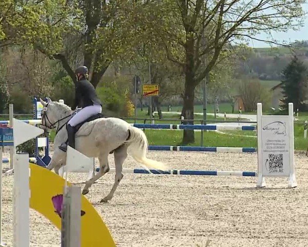 Reitturnier Rot am See- Musdorf 2025