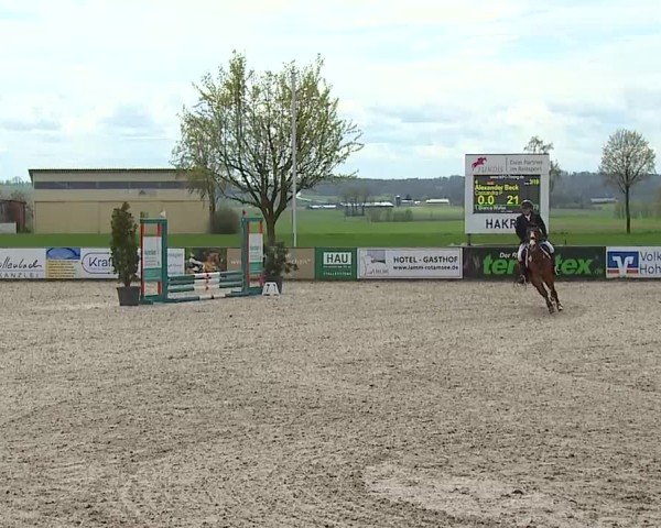 Reitturnier Rot am See- Musdorf 2025