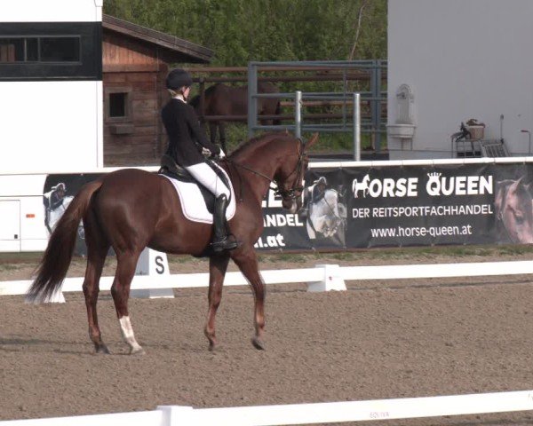 Reitturnier Margarethen am Moos 2025
