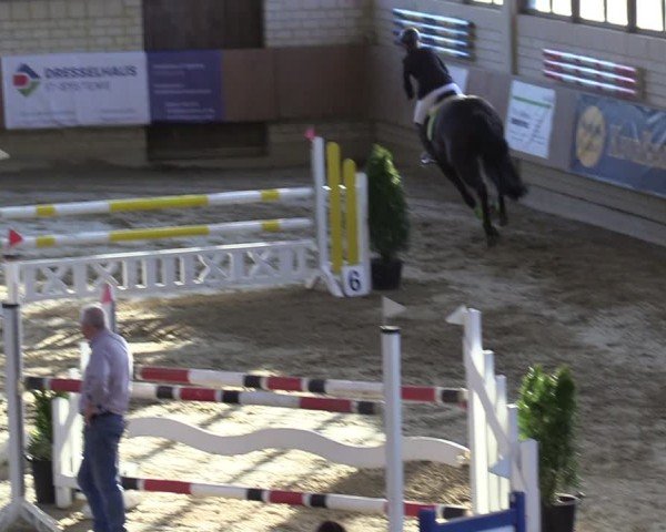 Reitturnier Oelde 2025