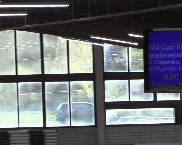 Reitturnier Oelde 2025