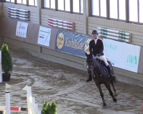 Reitturnier Oelde 2025