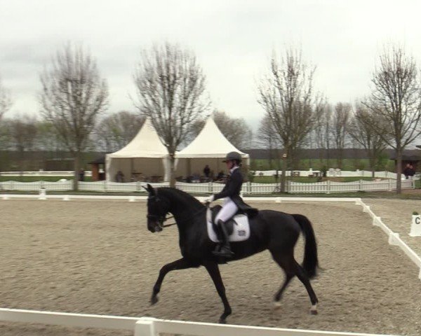 Reitturnier Elmlohe 2025