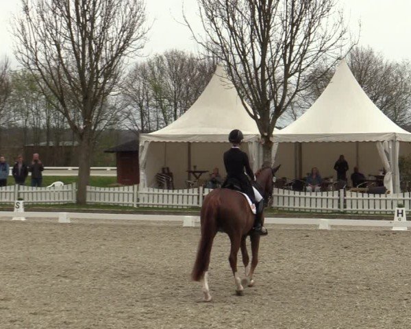 Reitturnier Elmlohe 2025