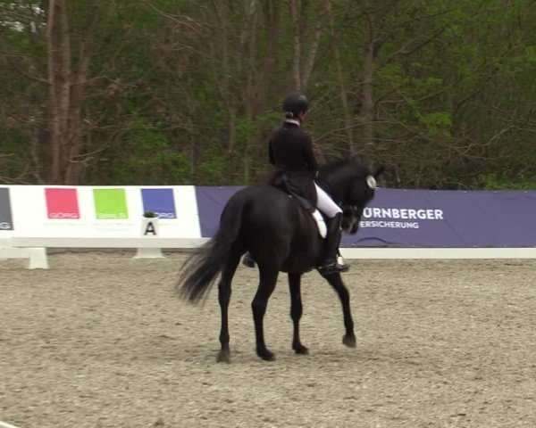 Reitturnier Elmlohe 2025