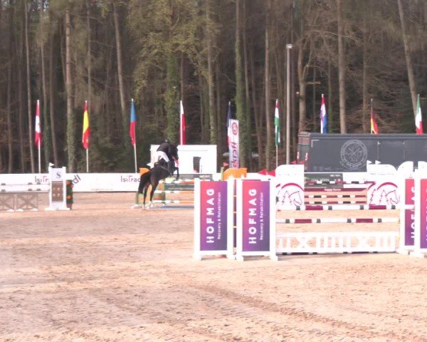Reitturnier Ranshofen - Braunau am Inn 2025