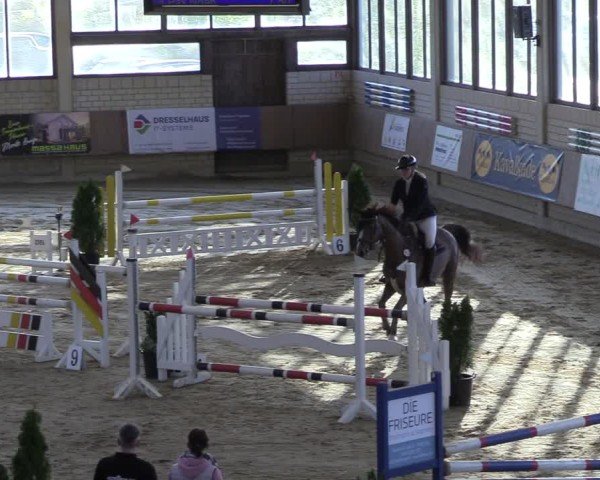 Reitturnier Oelde 2025