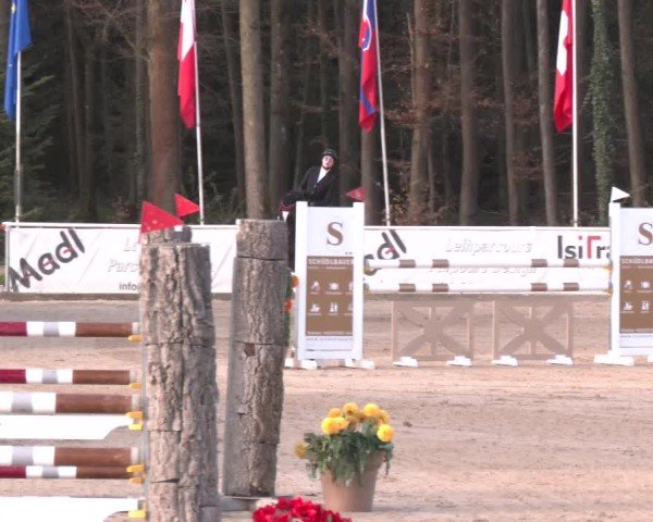 Reitturnier Ranshofen - Braunau am Inn 2025