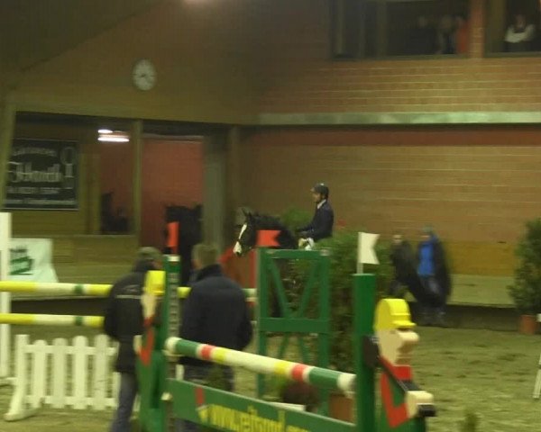 Reitturnier Paderborn 2013