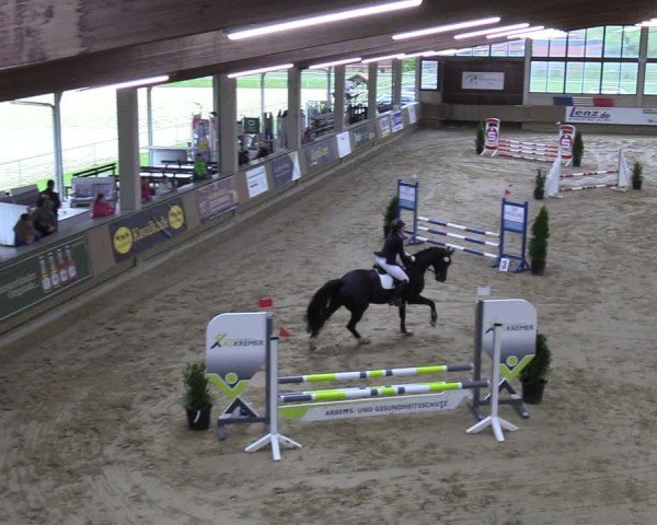 Reitturnier Oelde 2025