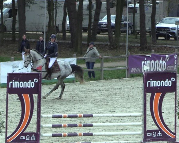 Reitturnier Westergellersen 2025