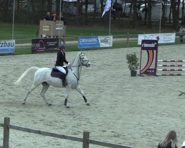 Reitturnier Westergellersen 2025