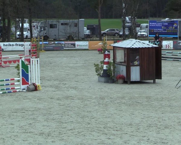 Reitturnier Westergellersen 2025