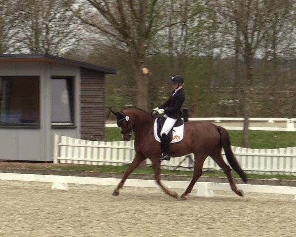 Reitturnier Elmlohe 2025