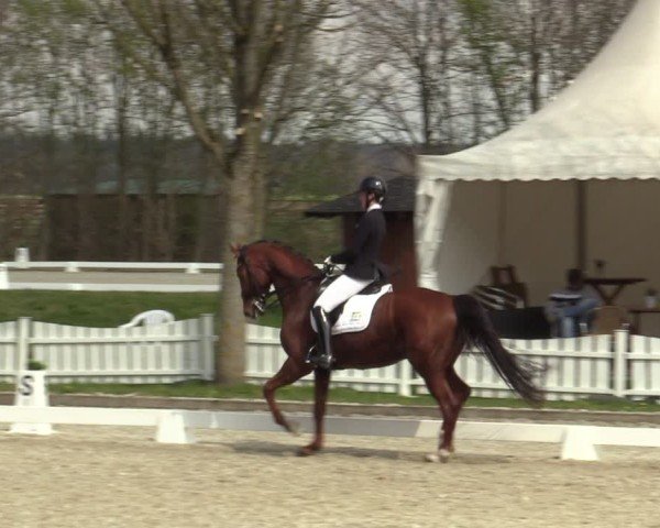 Reitturnier Elmlohe 2025
