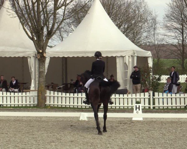 Reitturnier Elmlohe 2025