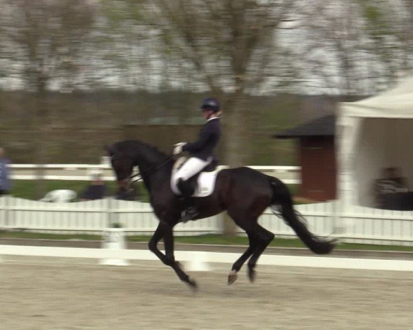 Reitturnier Elmlohe 2025