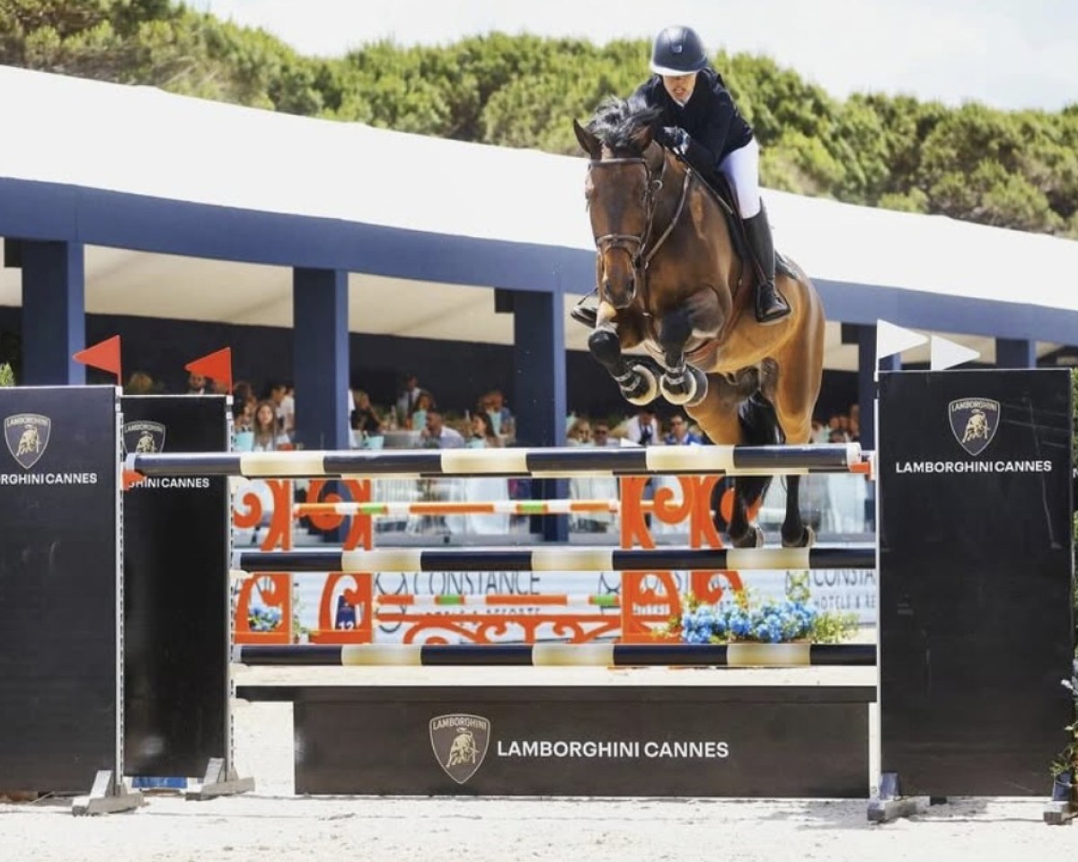 Cavallo da salto Luke Lemon (Oldenburger Cavallo da salto, 2013, di Lord Pezi Junior)
