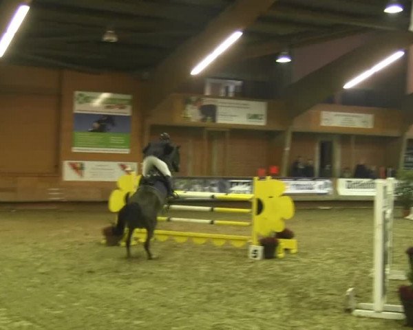 Paderborn 2013