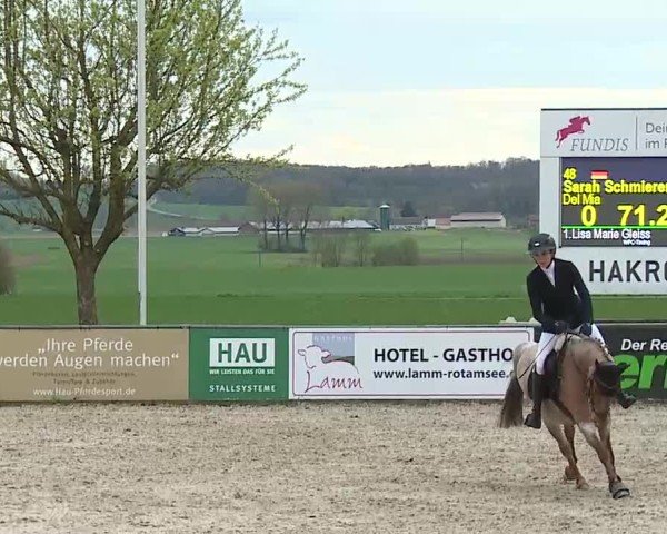 Reitturnier Rot am See- Musdorf 2025