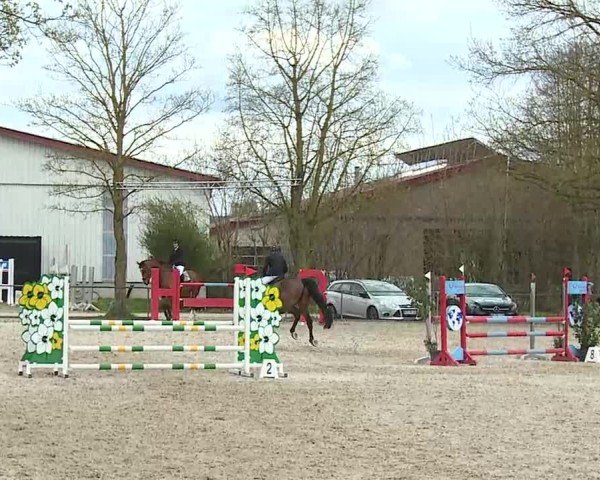Reitturnier Rot am See- Musdorf 2025