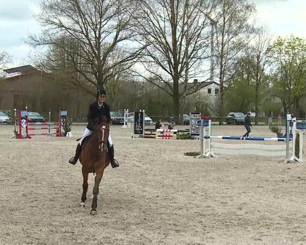 Reitturnier Rot am See- Musdorf 2025