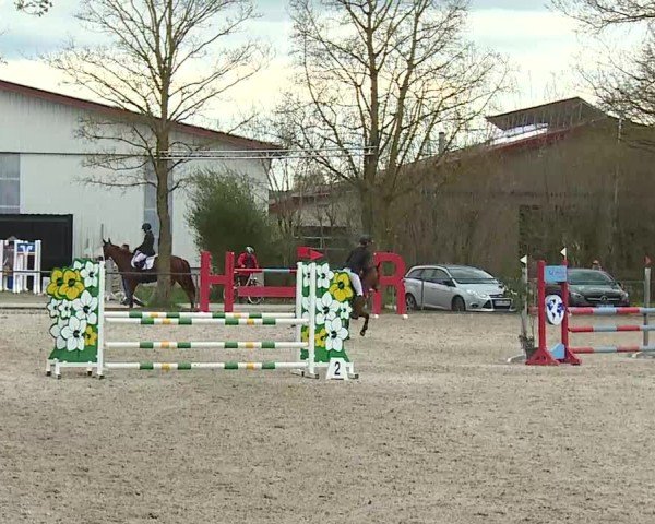 Reitturnier Rot am See- Musdorf 2025