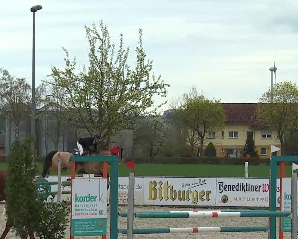Reitturnier Rot am See- Musdorf 2025