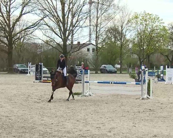 Reitturnier Rot am See- Musdorf 2025