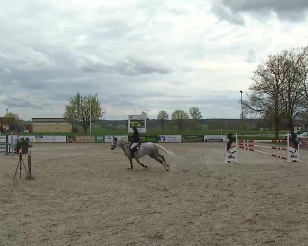 Reitturnier Rot am See- Musdorf 2025
