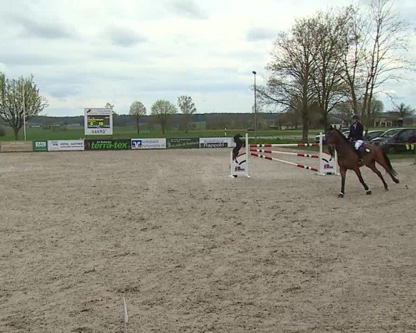 Reitturnier Rot am See- Musdorf 2025