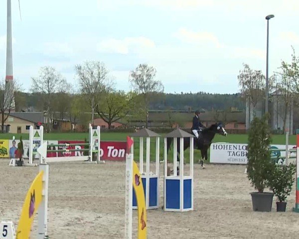 Reitturnier Rot am See- Musdorf 2025