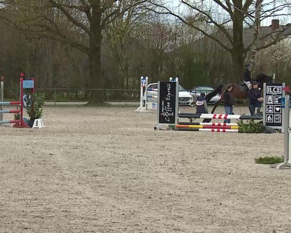 Reitturnier Rot am See- Musdorf 2025