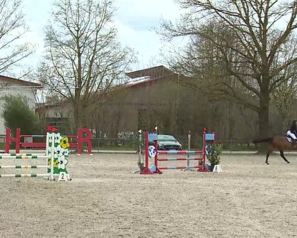 Reitturnier Rot am See- Musdorf 2025
